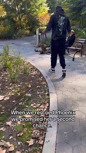 A PHOENIX HAS RISEN Once again @baystreetanimalhospital did their thing and now it’s our time to rehabilitate this lil angel and give her the promised future she deserves! | Pitbulls and Addicts