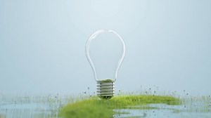 clip-1102200813-tree-growing-animation-light-bulb-on-grass