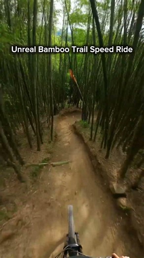 What Happens When A Rider Enters This Impossible Bamboo Trail
