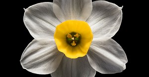 Open banking | Deloitte IN