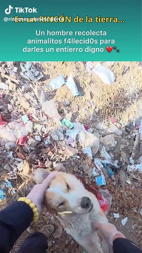 #asia #fyp #world #hero #animals | animals