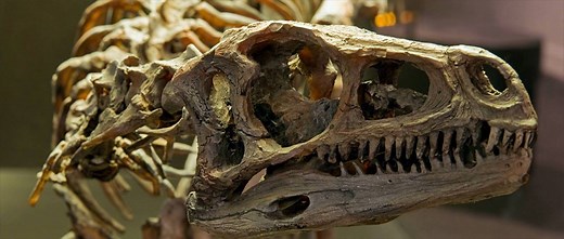 30K views · 147 reactions | A lot of people don't understand the...