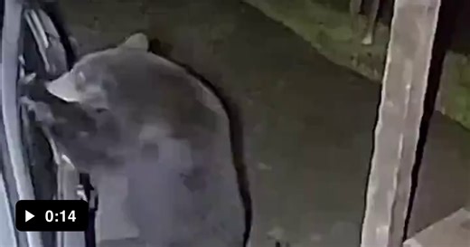 Now explain it to the insurance company. - Video