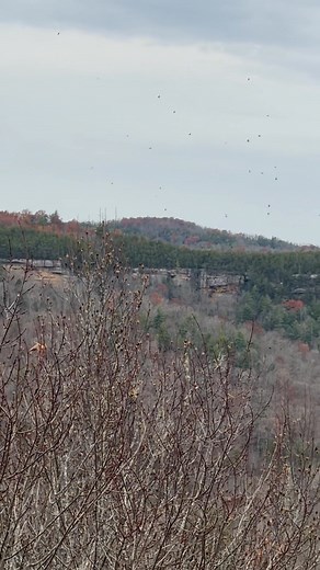 The leaves blowing up in gorge at Maude’s Crack. I first thought it was birds. | Terry Mccullough