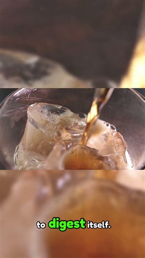 Stomach Keeps you Alive