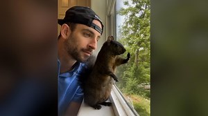 What is the most common blood type? Here's which is most (and least) common.