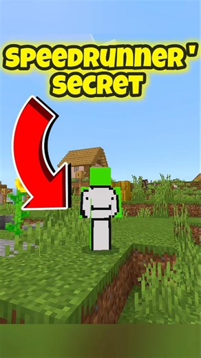 Speedrunner Secret Revealed! 🚫🐷