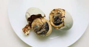 28 Stomach-Churning Images Of Sweden's Disgusting Food Museum