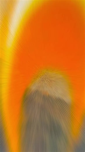 States of Matter - Western Landscape Interpretations by Rachel Kessler is on display at the Floyd Bettiga Gallery through November 21st!