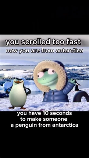 TOM | daily lizard meme on Instagram: "Day 109 of posting the lizard meme till I reach 1 BILLION followers"