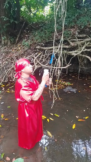 1.5M views · 146K reactions | #viralvideoシ #estadosunidos #miami #Floridas #newyork #texas #california #chicago #boston | Emmanuel Santana Mota | Facebook