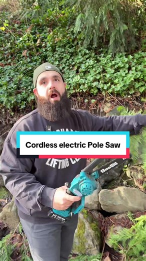 Cordless Electric Pole Saw: Easy Tree Trimming Solution