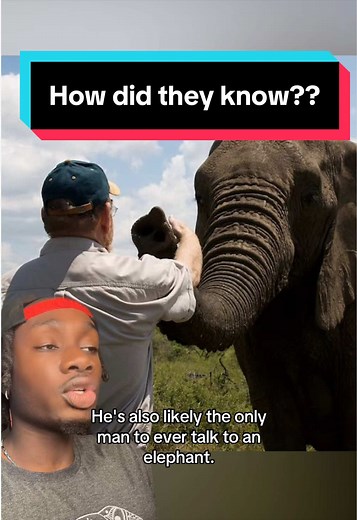 Man Communicates With Elephants - They Listen!