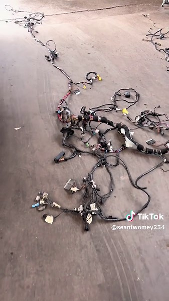 Sean Twomey on TikTok