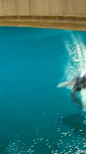 Bayverse Starscream’s Height Makes No Sense 🤖😒#shorts #transformers | Randomblackgamer