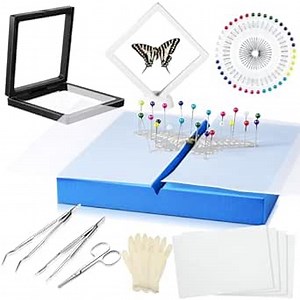 Insect Specimen Tools Kit Butterfly Specimen for Classroom Teaching Insect Pins Wings Pressing Paper Tweezers Scissors Gloves Insect Display Case Insect Collection for Bug Biology Projects