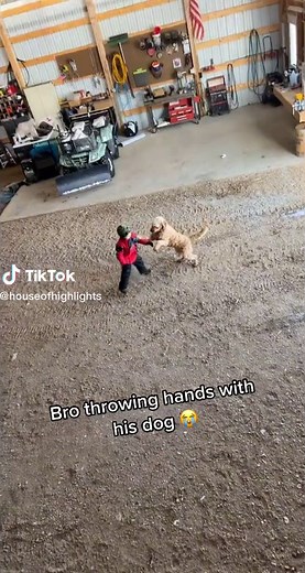 Bro Fighting His Dog- Intense Boxing Match!