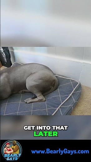 Pup Play & BDSM? Next Episode's HOT! 🔥