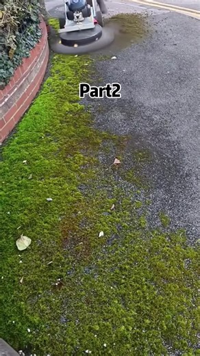 Roommate Troubles: A Reddit Story of Influence and Control