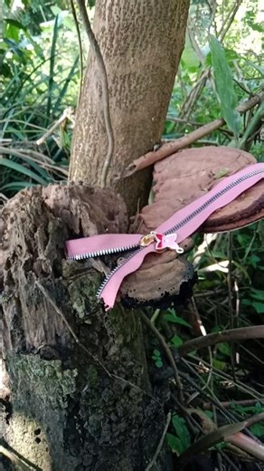 easy way to install a zipper head 🥳 #sewingtutorial #sewinghome#sewingtrick#sewingtips#easysewing