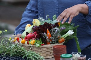 Día del Campesino: sigue el paso a paso para tener un biohuerto en casa [video]