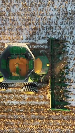 Cuentas recomendadas