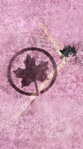 The world awaits! Unlock the secret to easily reaching 180 destinations.