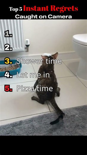 Top 5 Instant Regrets Caught on Camera | Try Not To Laugh