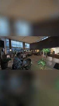 Sounds of the Caribbean – Steel Drum Entertainment