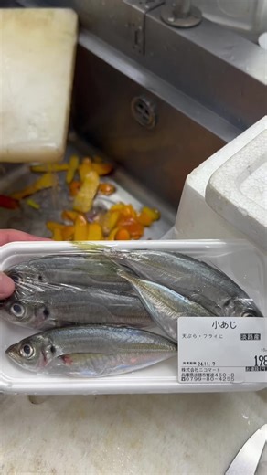 小アジの捌き方#18歳漁師 #淡路島 #おすすめ #いいね #魚捌き方