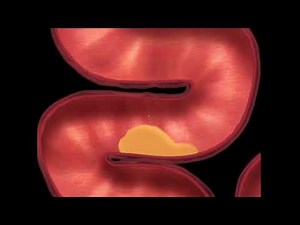 Shrink Hotel (Giantess Game) Part 10