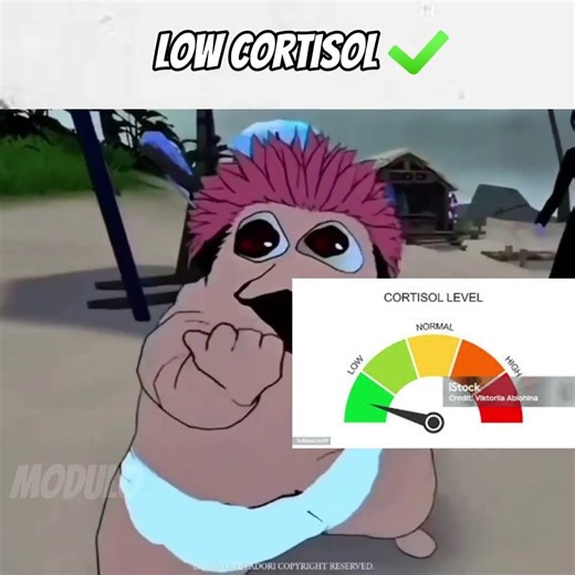 OUR GOAT THUKUNA - | Low Cortisol Funk | -