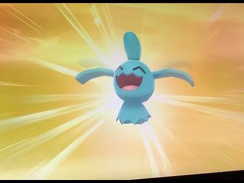 How to get Wynaut in Pokémon Sword & Shield!
