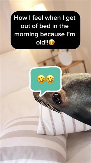 How I feel when I get out of bed!!🤣#ageing #bed #Meme #MemeCut | How I Feel After Meme