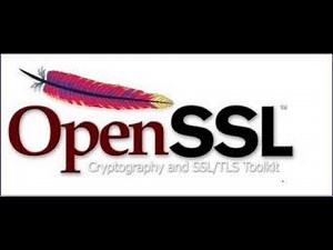 Add extensions to the self-signed certificate or sign the CSR certificate with extensions in Openssl