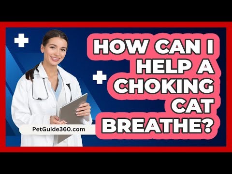 How Can I Help A Choking Cat Breathe?