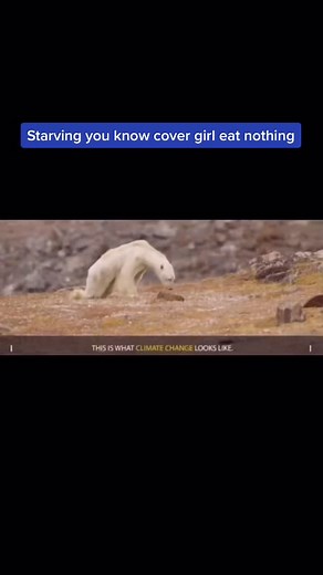 This is really sad #savetheearth🌎 #saveourhome #salvalaterra #helpourenvironment #helpourenvironment #saveourplanet #savetheearth #sosearth #sad