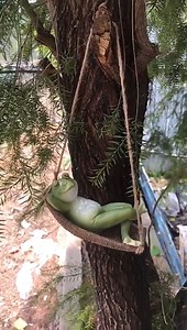 Watch outdoor frog decor on Amazon Live