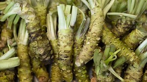 The Spicy Truth About Real Wasabi | Britannica