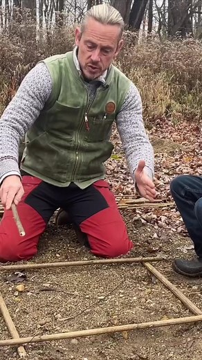 Live capture deadfall cage using Giant Ragweed Stalks. | Creek Stewart