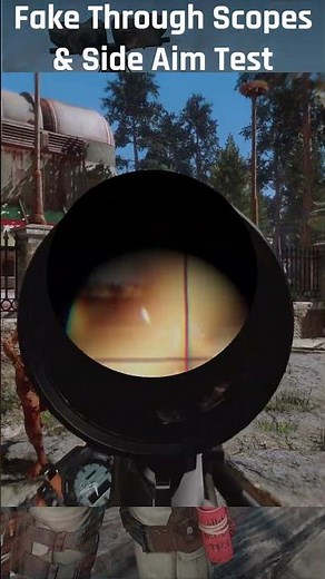FTS & Side Aim Test #shorts #mods #fallout4