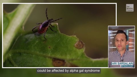 CDC: Thousands Allergic To Red Meat After A Tick Bite