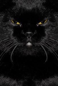 Dzień pecha, czyli piątek 13 lipca: A jednak wierzymy w przesądy [WIDEO]