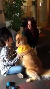 36 reactions · 7 comments | Our University of New England Graduate...