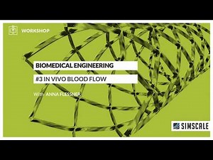 Biomedical Engineering Workshop: In Vivo Blood Flow Simulation