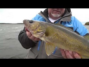This is how to catch WALLEYES with a jig (Lake Kabetogama) Jason Mitchell Outdoors