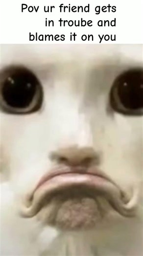 I thought we were friends😭🥀 #beats #memes #tiktoktrend