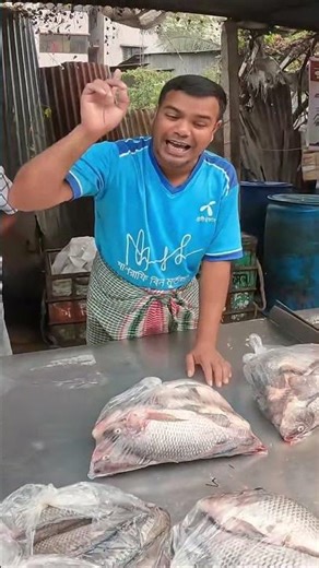 🔴 Today’s Fresh Fish Prices & Market Tour
