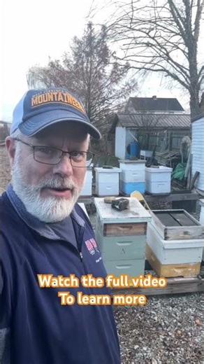 Honeybees Poop?? #appalachia #beekeeping