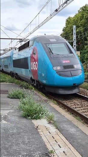 French High-Speed TGV Passing Through a Paris Suburban Station 🚄 | Powerful Train Sound #frenchtrain